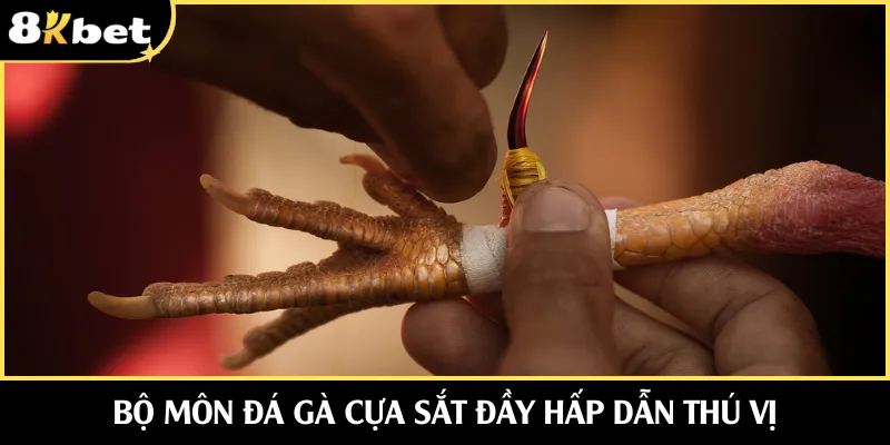 Bộ môn đá gà cựa sắt đầy hấp dẫn thú vị