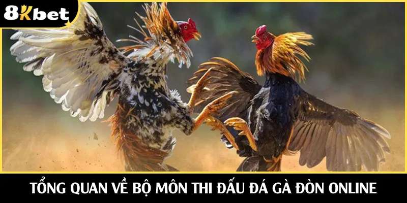 Tổng quan về bộ môn thi đấu đá gà đòn online